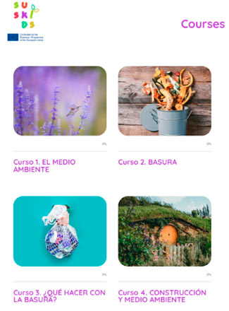 Fig. 5 Captura de pantalla de los cursos del VLE